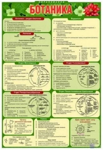 Таблицы раздаточные (А4)  по ботанике