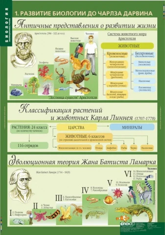 Учебный альбом из 10 листов <Биология 10-11 кл. Эволюционное учение>