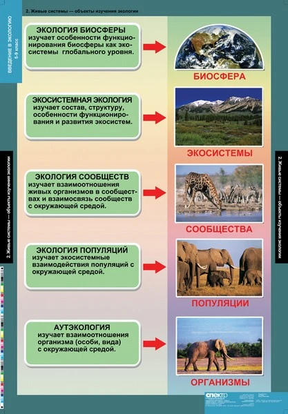Комплект демонстрационных учебных таблиц (кабинет биологии)