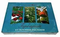 Гербарий «Культурные растения»