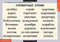 Учебный альбом из 8 листов «Русский язык. Словарные слова»