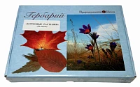 Гербарий «Кормовые растения»