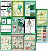 Комплект демонстрационных учебных таблиц (кабинет биологии)