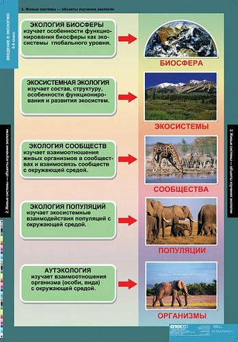 Комплект демонстрационных учебных таблиц (кабинет биологии)