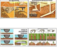 Плакаты <Основы агрономии>, (11 пл, винил, 70х100)