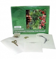 Гербарий «Основные группы растений»
