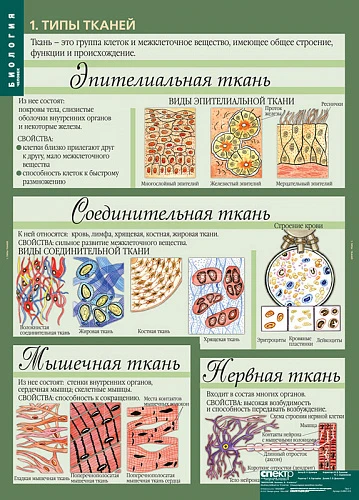 Комплект демонстрационных учебных таблиц (кабинет биологии)