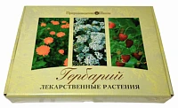 Гербарий «Лекарственные растения»